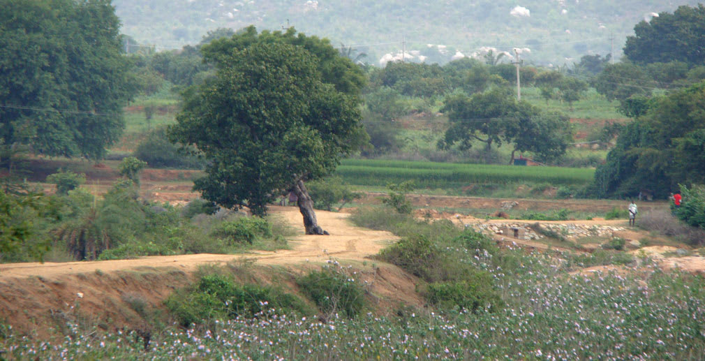 To_Madanapalle_Surrounding_Area